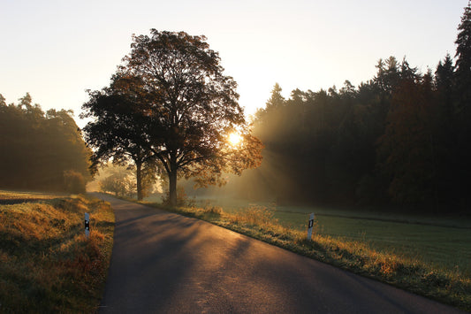 The best things about running early in the morning