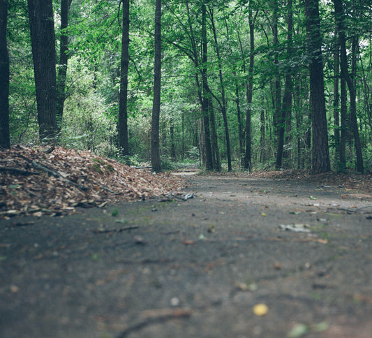 Preparing for a December Trail Marathon - Constantiagear.com